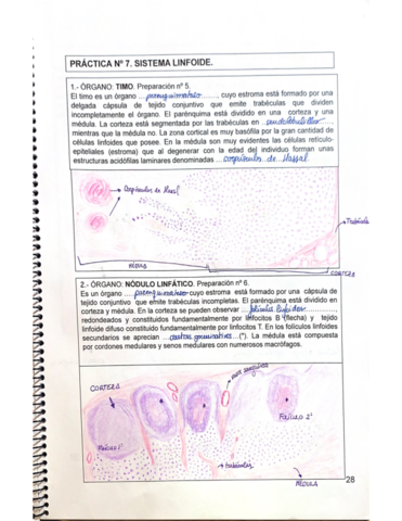 Cuaderno-de-citologia-.pdf