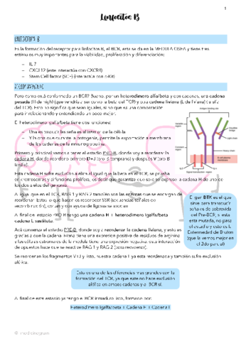 Linfocitos-B.pdf