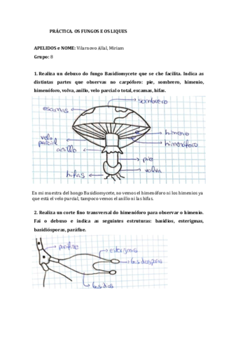 FungosLiquesMiriamVilarnovoAllal.pdf