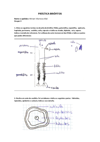 BriofitosMiriamVilarnovo.pdf