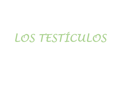 TESTICULOS.pdf