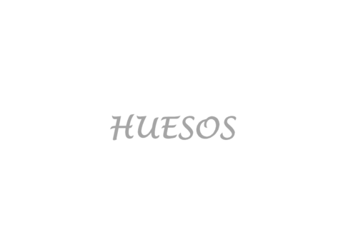 HUESOS.pdf