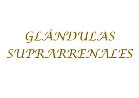 GLANDULAS-SUPRARRENALES.pdf