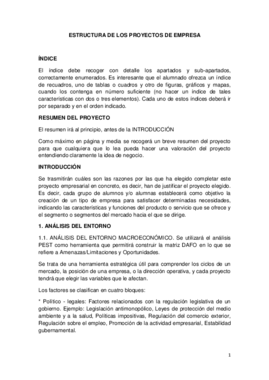 ESTRUCTURA DE LOS PROYECTOS.pdf