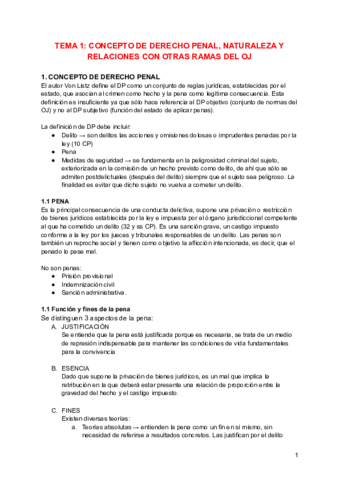 Derecho-penal-general.pdf