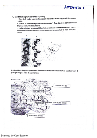 elika-azterketa.pdf