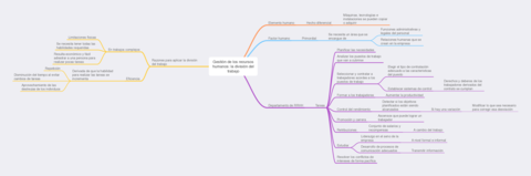 Gestion-de-los-recursos-humanos-y-la-division-del-trabajo.pdf