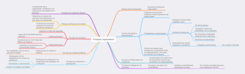 Principios-organizativos.pdf