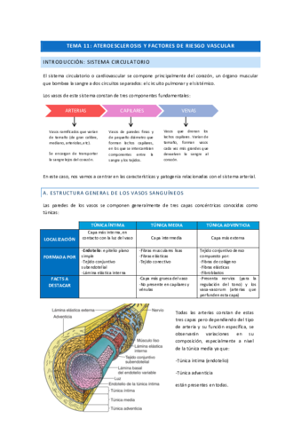 Cardiovascular-PG-11-16-1-7.pdf