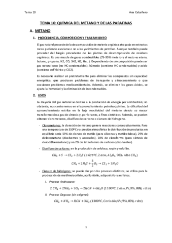 TEMA-10.pdf