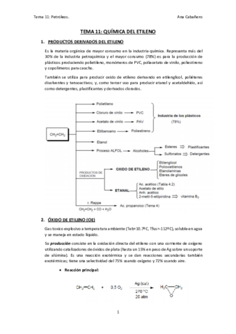 TEMA-11.pdf