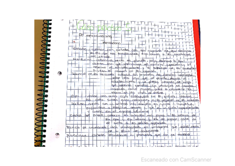 Elena-Espina-Gavira.pdf