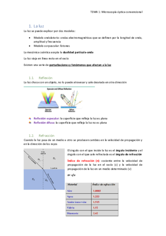 TEMA-1.pdf
