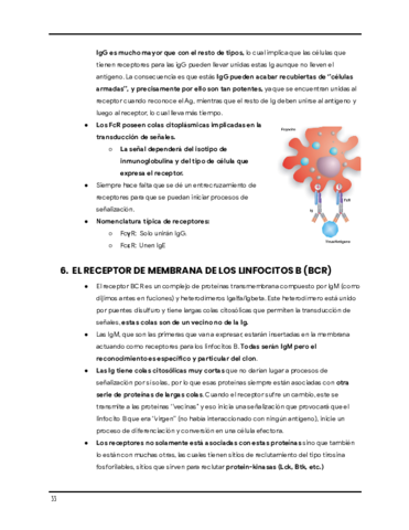 Inmunologia-1-5.pdf