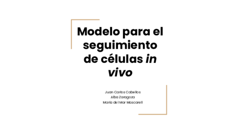 PIM-presentacion-1.pdf