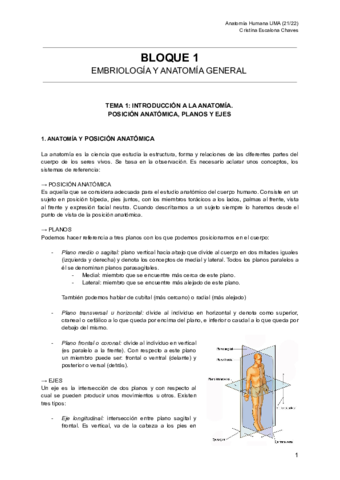 BLOQUE-1-ANATOMIA.pdf