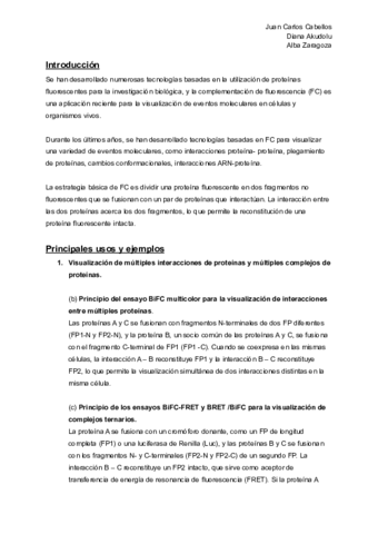 Tecnologias-presentacion.pdf