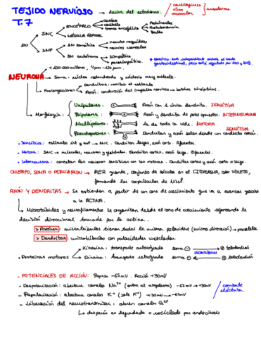 Tema-7-esquemas.pdf