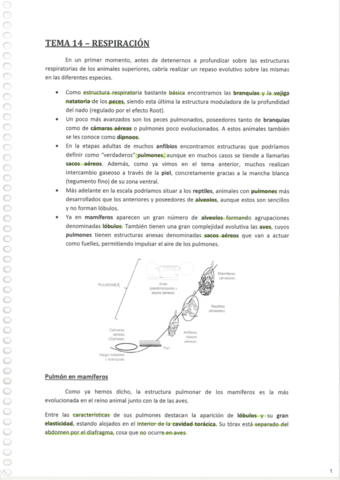 Apuntes-Fisiologia-AnimalSegundaParteA.pdf