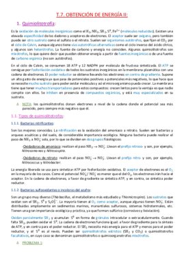 Tema 7. Obtención de energía II..pdf