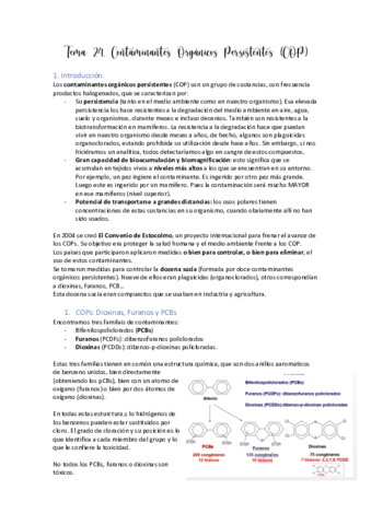 Tema-24.pdf