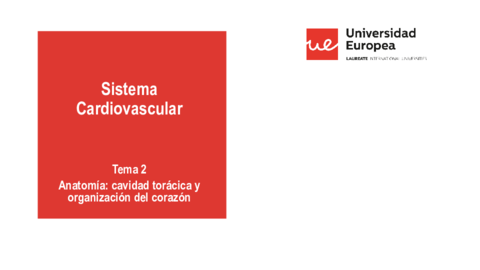 CARDIO-2-ANATOMIA-I-20-21.pdf