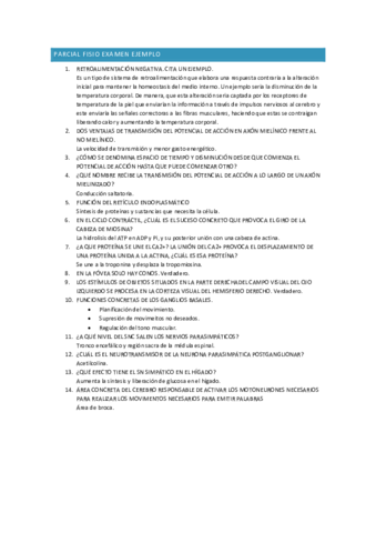 ejemplo-parcial.pdf