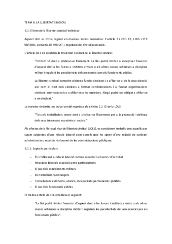 TEMA-6.pdf