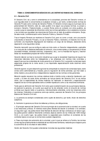 TEMA-4.pdf