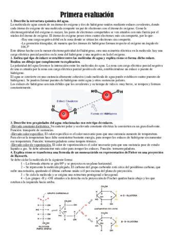 Primera-evaluacion-biologia.pdf
