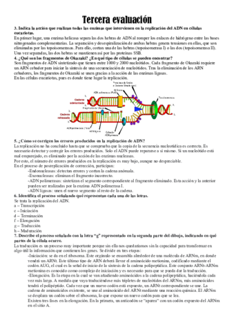 Tercera-evaluacion-biologia.pdf