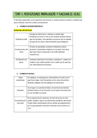 TEMA-4.pdf