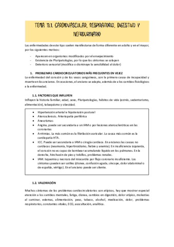 TEMA-13.pdf