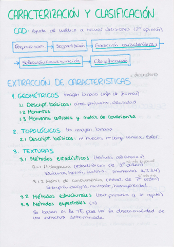 Resumen Caracterización y clasificación.pdf