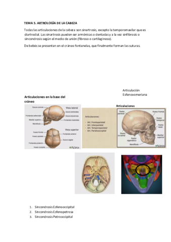 TEMA-5-ANATOMIA.pdf