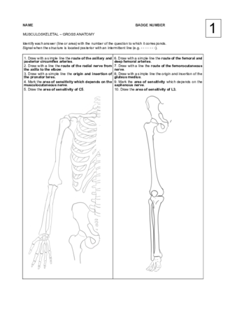 SOI-preguntas-cortas.pdf