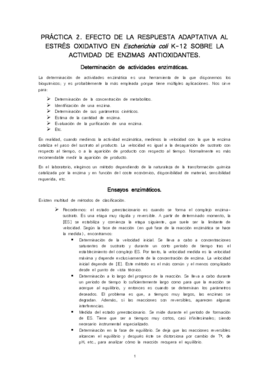 Apuntes de Práctica 2.pdf