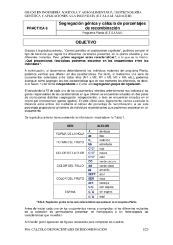 P06SegregacionCalculo.pdf