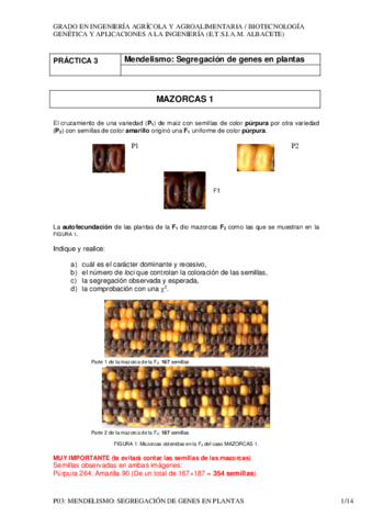 P03SegregacionesGenicas.pdf