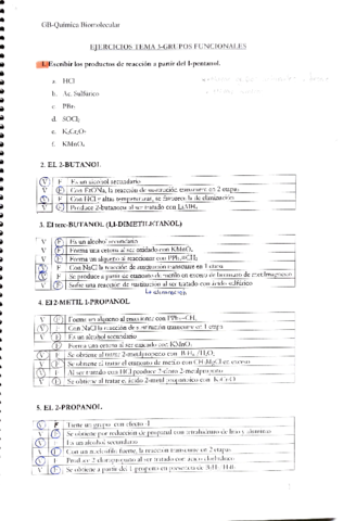 Q-Biomolecular-Ejs-T3.pdf