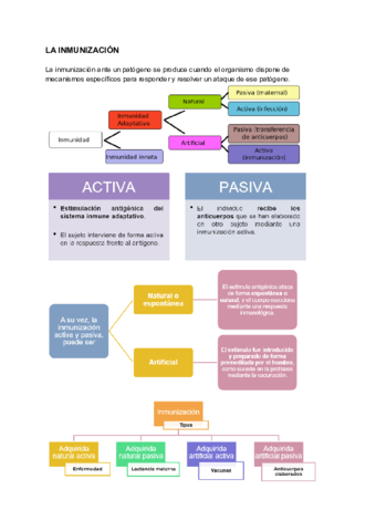 LA-INMUNIZACION.pdf
