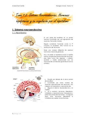Apuntes-T72-Hipotalamo-e-hipofisis.pdf