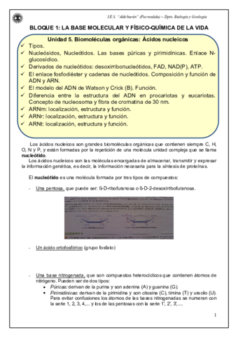 Documento-PDF-2.pdf