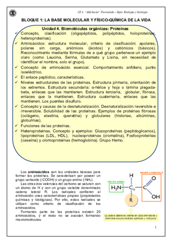 Documento-PDF.pdf