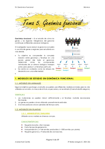 T5-Genomica-funcional.pdf