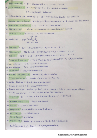 1-formulacion.pdf