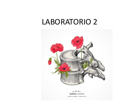 Contenido-Laboratorio-22-10-20.pdf