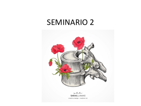 Contenido-seminario-22-10-20.pdf