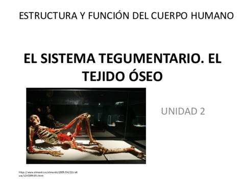 Contenido-clase-21-10-20.pdf