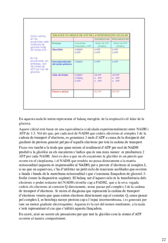 final-bioquimica-43-48.pdf